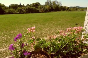 Saint-genis-laval-location-Cle-des-Artistes-chambre-fancy-vue