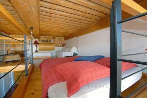 lyon-5-location-montee-chemin-neuf-studio-mezzanine-f