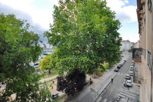 lyon-7-location-rhone-raspail-vue-sejour-a