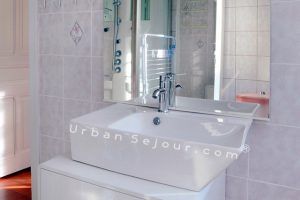 villeurbanne-location-guillotte-l-appartement-sdb-e