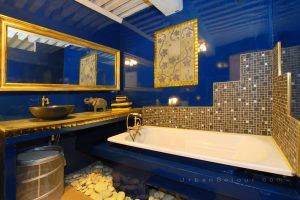lyon-1-location-saone-sathonay-sdb-a