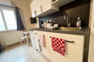 Ecully 6 kitchenette
