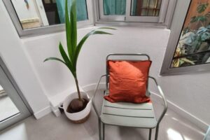 Urban-Sejour-Lyon-8-Hopital-Edouard-Herriot-location-appartement