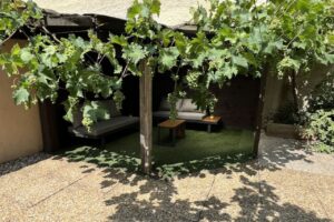 Urban-Sejour-Lyon-3-Montchat-Lacassagne-jardin-1